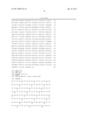 Her2/neu-Specific Antibodies and Methods of Using Same diagram and image