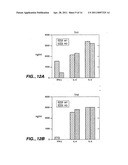 Modulation of T cell Differentiation for the treatment of T helper cell mediated diseases diagram and image