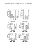 Modulation of T cell Differentiation for the treatment of T helper cell mediated diseases diagram and image