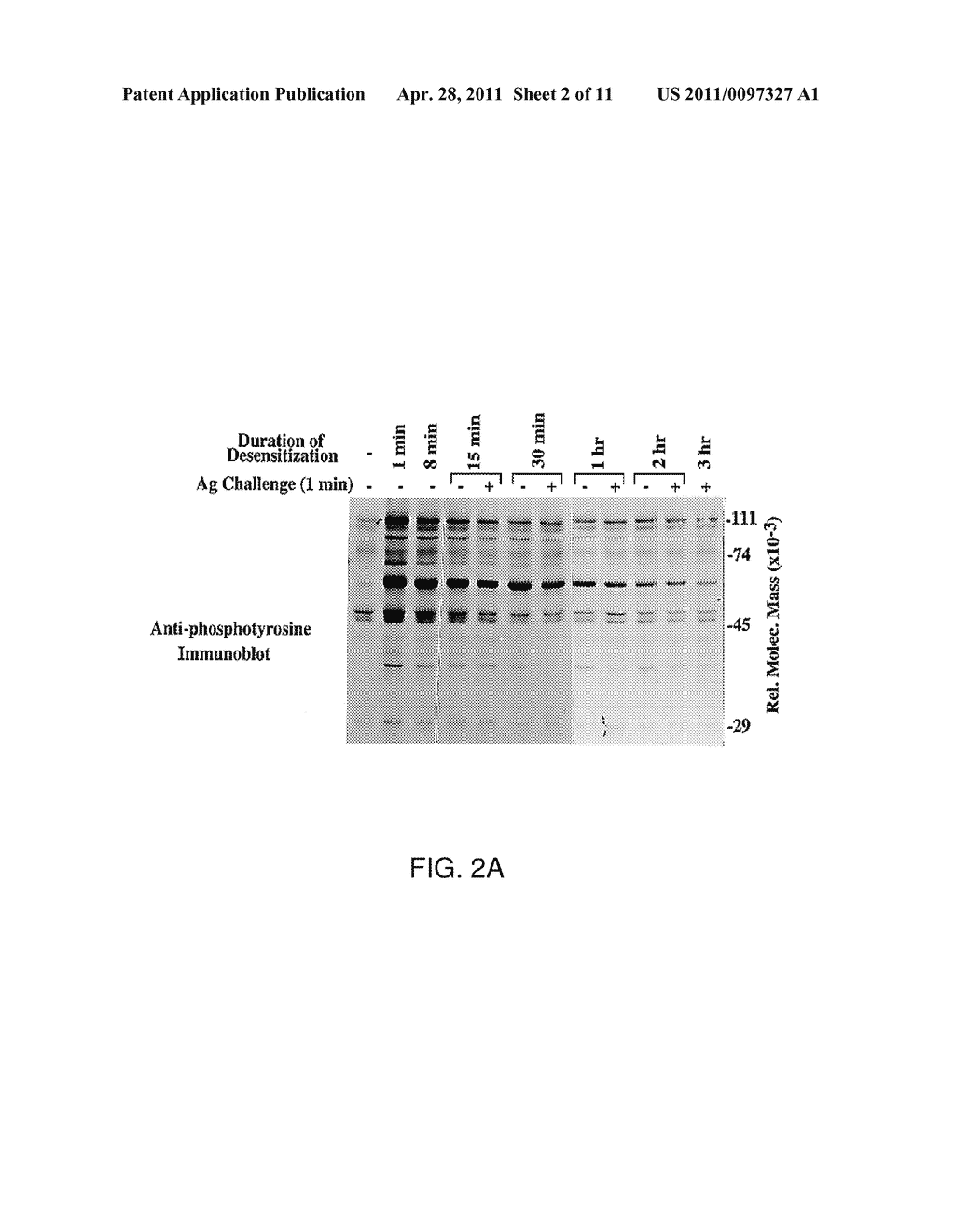 PRODUCT AND METHOD FOR TREATMENT OF CONDITIONS ASSOCIATED WITH RECEPTOR-DESENSITIZATION - diagram, schematic, and image 03