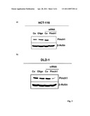 Use of Substances for Sensitization of Tumor Cells to Radiation and/or Chemotherapy diagram and image