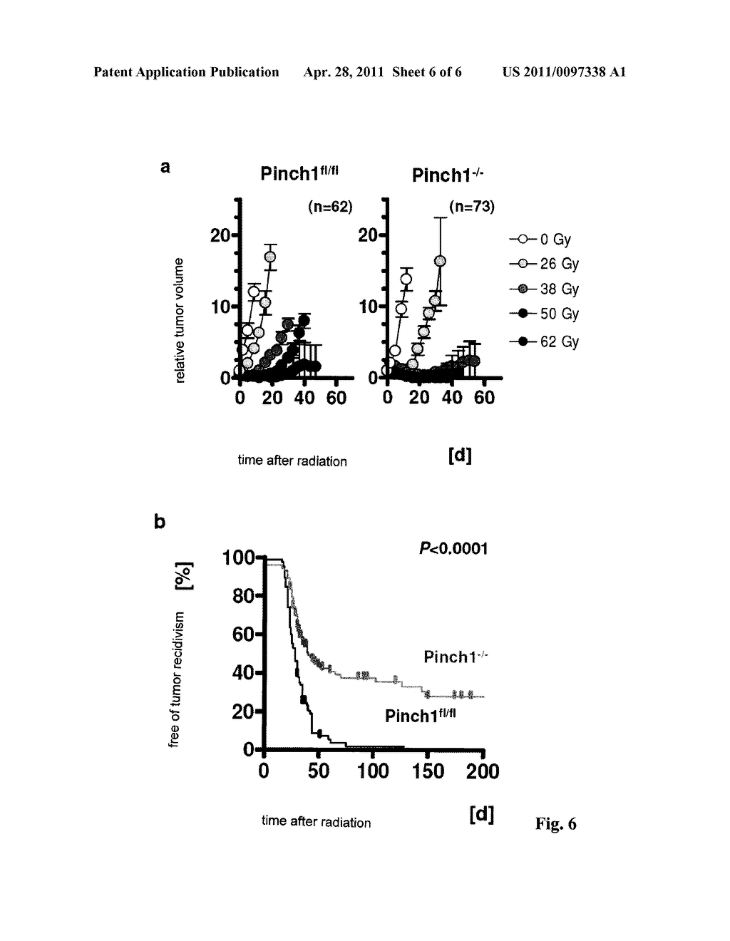 Use of Substances for Sensitization of Tumor Cells to Radiation and/or Chemotherapy - diagram, schematic, and image 07