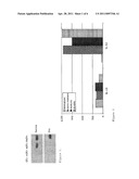 Dendritic Cells diagram and image