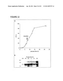 BIOCONJUGATES MADE FROM RECOMBINANT N-GLYCOSYLATED PROTEINS FROM PROCARYOTIC CELLS diagram and image