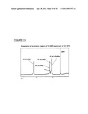 BIOCONJUGATES MADE FROM RECOMBINANT N-GLYCOSYLATED PROTEINS FROM PROCARYOTIC CELLS diagram and image