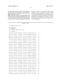 BIOCONJUGATES MADE FROM RECOMBINANT N-GLYCOSYLATED PROTEINS FROM PROCARYOTIC CELLS diagram and image