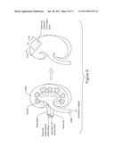 DIRECTED STEM CELL RECRUITMENT diagram and image