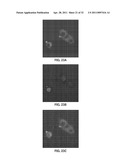 Compositions and Methods for Thermo-Sensitive Nanoparticles and Magnetic Nanoparticles diagram and image