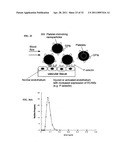 Compositions and Methods for Thermo-Sensitive Nanoparticles and Magnetic Nanoparticles diagram and image