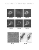 Compositions and Methods for Thermo-Sensitive Nanoparticles and Magnetic Nanoparticles diagram and image