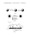 Compositions and Methods for Thermo-Sensitive Nanoparticles and Magnetic Nanoparticles diagram and image