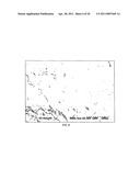 SEASONING AND METHOD FOR SEASONING A FOOD PRODUCT WHILE REDUCING DIETARY SODIUM INTAKE diagram and image