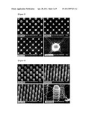 ORGANIC/INORGANIC COMPOSITE COMPRISING THREE-DIMENSIONAL CARBON NANOTUBE NETWORKS, METHOD FOR PREPARING THE ORGANIC/INORGANIC COMPOSITE AND ELECTRONIC DEVICE USING THE ORGANIC/INORGANIC COMPOSITE diagram and image