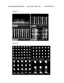 ORGANIC/INORGANIC COMPOSITE COMPRISING THREE-DIMENSIONAL CARBON NANOTUBE NETWORKS, METHOD FOR PREPARING THE ORGANIC/INORGANIC COMPOSITE AND ELECTRONIC DEVICE USING THE ORGANIC/INORGANIC COMPOSITE diagram and image