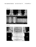 ORGANIC/INORGANIC COMPOSITE COMPRISING THREE-DIMENSIONAL CARBON NANOTUBE NETWORKS, METHOD FOR PREPARING THE ORGANIC/INORGANIC COMPOSITE AND ELECTRONIC DEVICE USING THE ORGANIC/INORGANIC COMPOSITE diagram and image