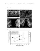 ORGANIC/INORGANIC COMPOSITE COMPRISING THREE-DIMENSIONAL CARBON NANOTUBE NETWORKS, METHOD FOR PREPARING THE ORGANIC/INORGANIC COMPOSITE AND ELECTRONIC DEVICE USING THE ORGANIC/INORGANIC COMPOSITE diagram and image