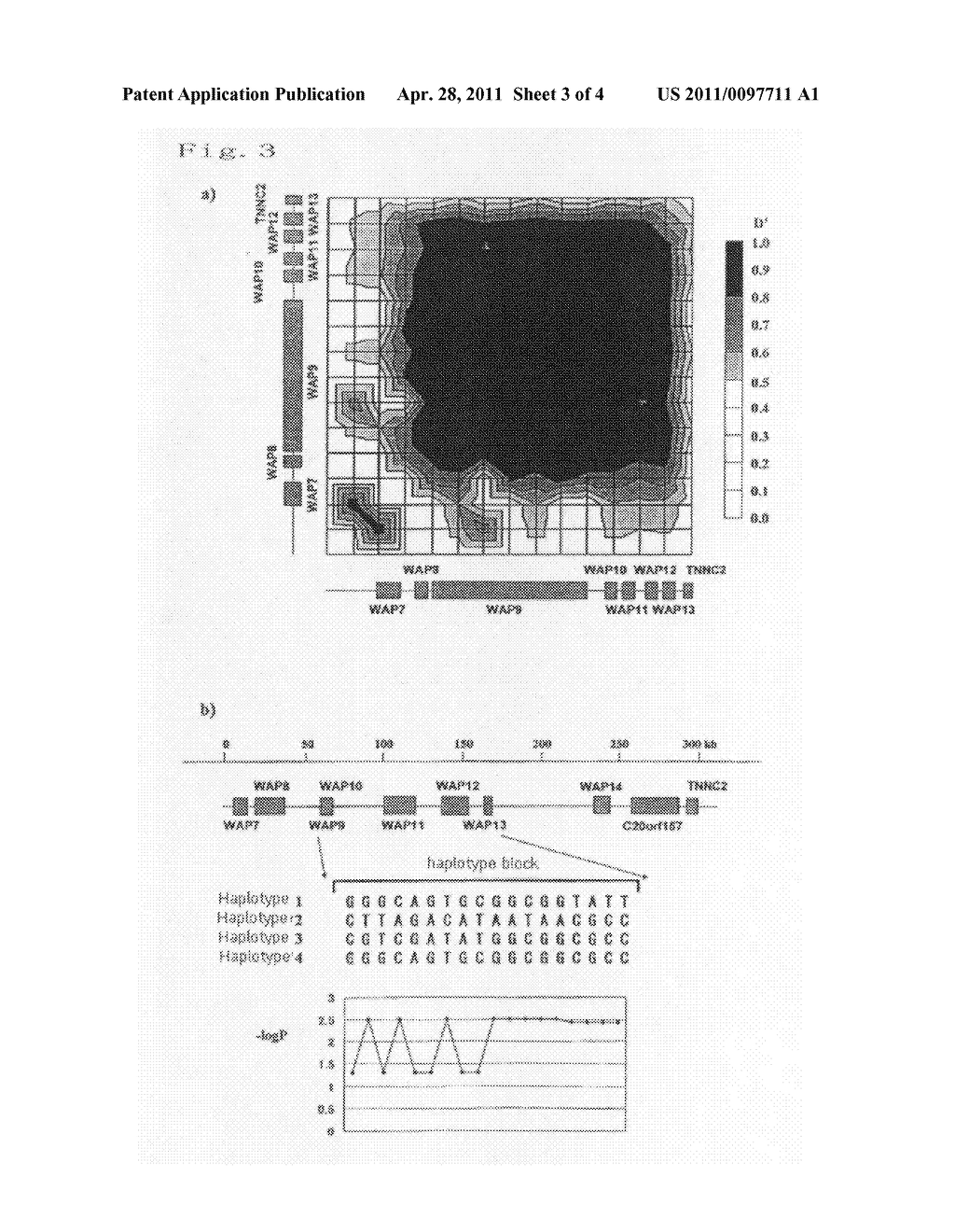 METHOD OF JUDGING INFLAMMATORY DISEASE BY USING SINGLE NUCLEOTDIE POLYMORPHISM - diagram, schematic, and image 04