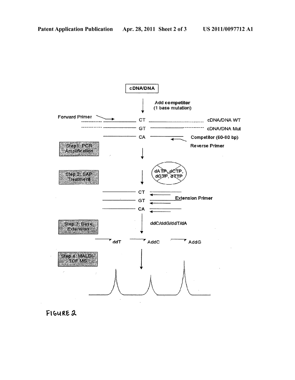 METHOD FOR DETECTING AND QUANTIFYING RARE MUTATIONS/POLYMORPHISMS - diagram, schematic, and image 03