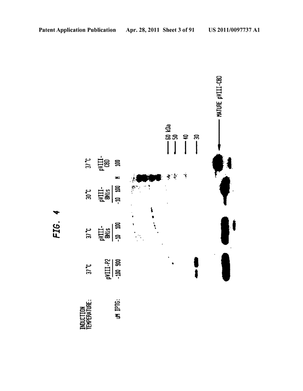 Methods and Compositions for Targeting Proteins of Interest to the Host Cell Envelope - diagram, schematic, and image 04