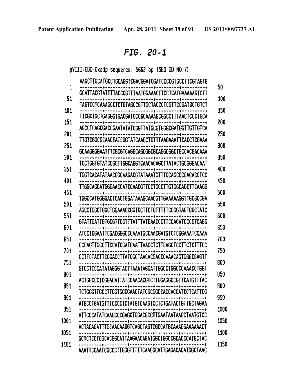 Methods and Compositions for Targeting Proteins of Interest to the Host Cell Envelope - diagram, schematic, and image 39