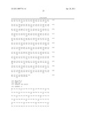 PARTIAL T1R2 NUCLEIC ACID SEQUENCE, RECEPTOR PROTEIN AND ITS USE IN SCREENING ASSAYS diagram and image