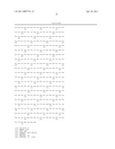 PARTIAL T1R2 NUCLEIC ACID SEQUENCE, RECEPTOR PROTEIN AND ITS USE IN SCREENING ASSAYS diagram and image