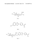 Chemiluminescent methods and reagents for analyte detection diagram and image