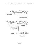 Chemiluminescent methods and reagents for analyte detection diagram and image