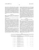 AMPLIFICATION PRIMERS WITH NON-STANDARD BASES FOR INCREASED REACTION SPECIFICITY diagram and image