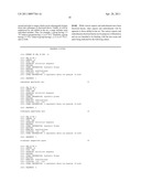 AMPLIFICATION PRIMERS WITH NON-STANDARD BASES FOR INCREASED REACTION SPECIFICITY diagram and image