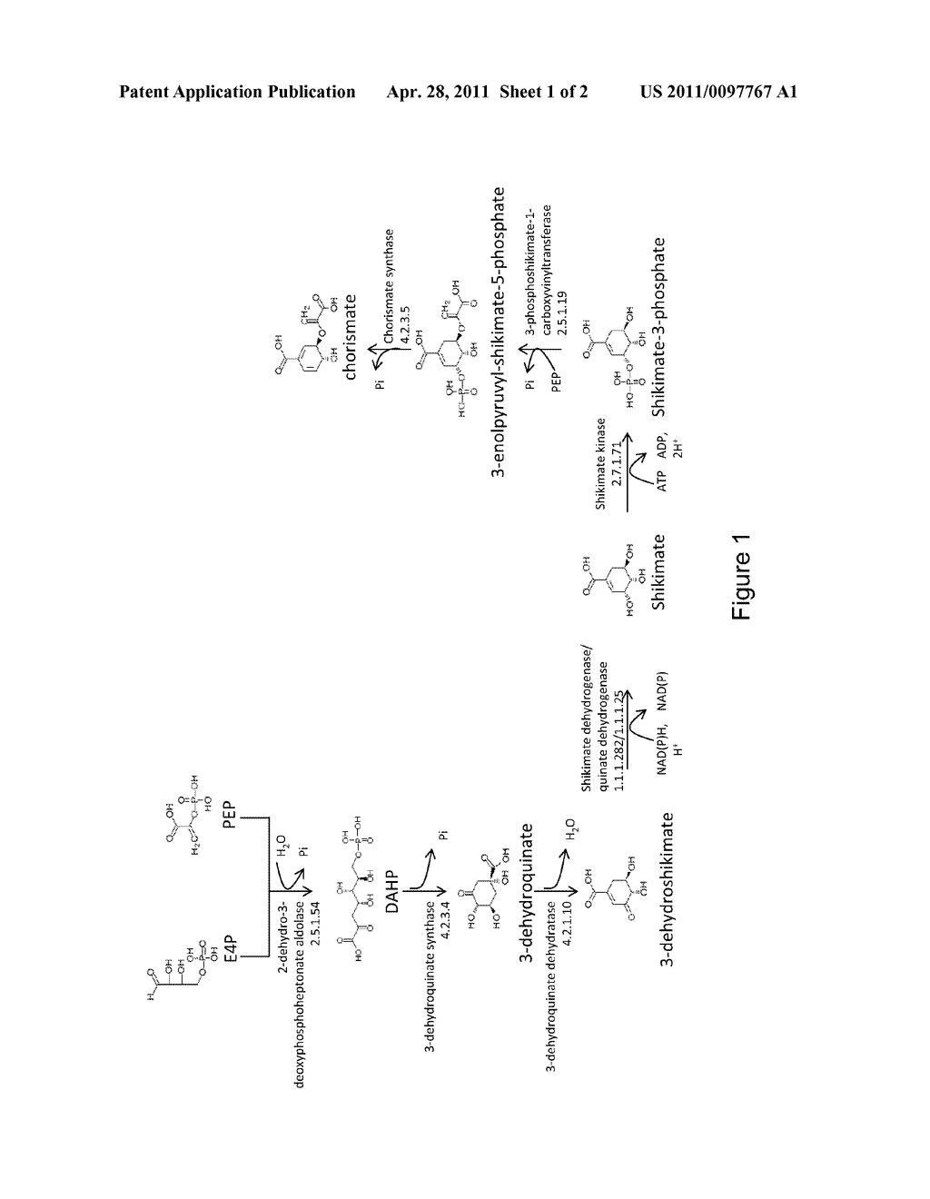 MICROORGANISMS FOR THE PRODUCTION OF ANILINE - diagram, schematic, and image 02