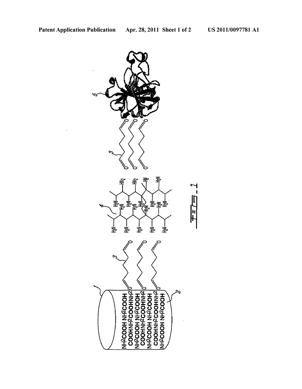 IMMOBILIZED BIOLOGICAL MATERIAL WITH IMPROVED FUNCTIONALITY AND METHOD FOR PRODUCING THE SAME - diagram, schematic, and image 02