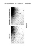 Desiccated Biologics And Methods Of Preparing The Same diagram and image