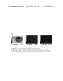 ORGANIC-INORGANIC COMPOSITE DISPERSION, CELL CULTURE SUBSTRATE MANUFACTURED USING THE SAME, AND METHODS FOR PREPARING THE SAME diagram and image