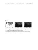 ORGANIC-INORGANIC COMPOSITE DISPERSION, CELL CULTURE SUBSTRATE MANUFACTURED USING THE SAME, AND METHODS FOR PREPARING THE SAME diagram and image