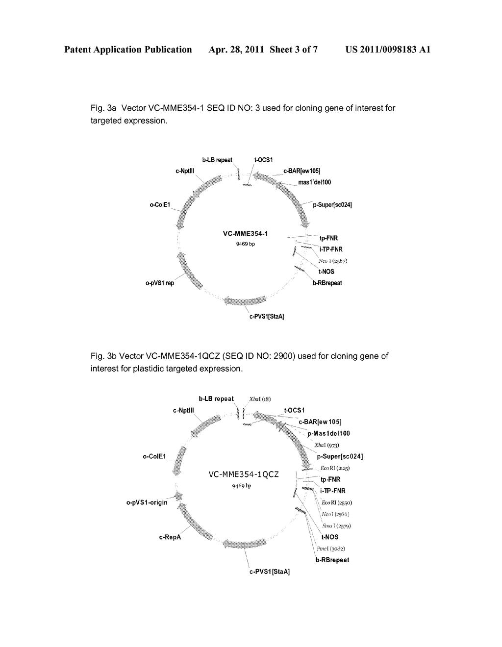 PLANTS WITH INCREASED YIELD AND/OR INCREASED TOLERANCE TO ENVIRONMENTAL STRESS (IY-BM) - diagram, schematic, and image 04