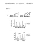 SIRT4 ACTIVITIES diagram and image