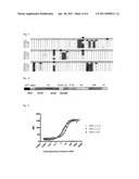 MUTEINS WITH TEAR LIPOCALIN HAVING AFFINITY TO HUMAN C-MET RECEPTOR TYROSINE KINASE AND METHODS FOR OBTAINING THE SAME diagram and image