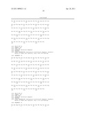 MUTEINS WITH TEAR LIPOCALIN HAVING AFFINITY TO HUMAN C-MET RECEPTOR TYROSINE KINASE AND METHODS FOR OBTAINING THE SAME diagram and image