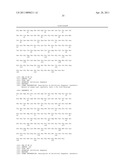 MUTEINS WITH TEAR LIPOCALIN HAVING AFFINITY TO HUMAN C-MET RECEPTOR TYROSINE KINASE AND METHODS FOR OBTAINING THE SAME diagram and image