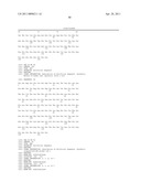 MUTEINS WITH TEAR LIPOCALIN HAVING AFFINITY TO HUMAN C-MET RECEPTOR TYROSINE KINASE AND METHODS FOR OBTAINING THE SAME diagram and image