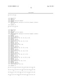 MUTEINS WITH TEAR LIPOCALIN HAVING AFFINITY TO HUMAN C-MET RECEPTOR TYROSINE KINASE AND METHODS FOR OBTAINING THE SAME diagram and image