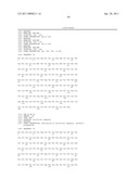 MUTEINS WITH TEAR LIPOCALIN HAVING AFFINITY TO HUMAN C-MET RECEPTOR TYROSINE KINASE AND METHODS FOR OBTAINING THE SAME diagram and image