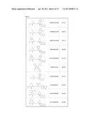 METHODS FOR INHIBITING DRUG DEGRADATION diagram and image