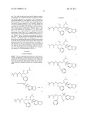 METHODS FOR INHIBITING DRUG DEGRADATION diagram and image