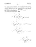 METHODS FOR INHIBITING DRUG DEGRADATION diagram and image