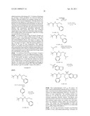 METHODS FOR INHIBITING DRUG DEGRADATION diagram and image