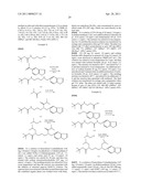 METHODS FOR INHIBITING DRUG DEGRADATION diagram and image