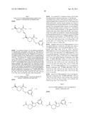 SPIROLACTAM DERIVATIVES AND USES OF SAME diagram and image