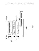 Uses of tetrahydrobiopterin, sepiapterin and derivatives thereof diagram and image